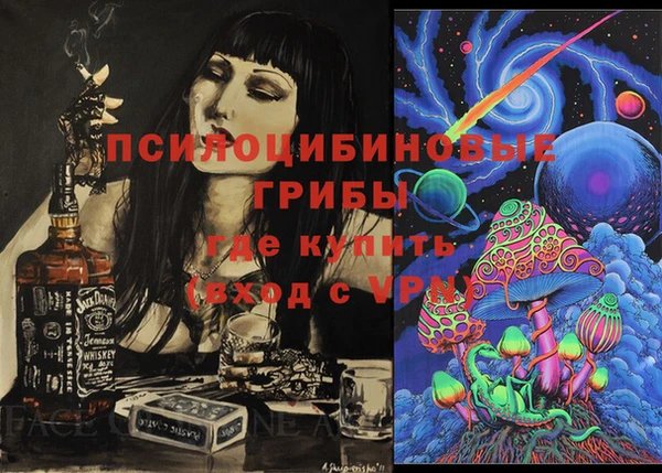 a pvp Гусиноозёрск