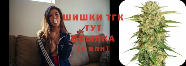 мдпв Гусь-Хрустальный