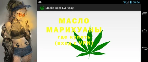 мдпв Гусь-Хрустальный
