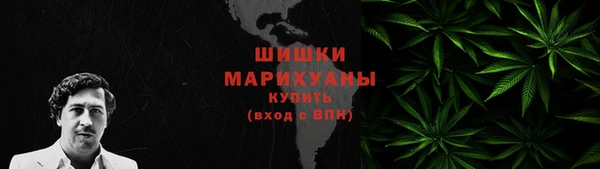мдпв Гусь-Хрустальный