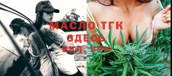 мдпв Гусь-Хрустальный