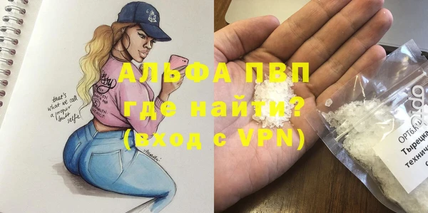 мдпв Гусь-Хрустальный