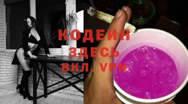 мдпв Гусь-Хрустальный
