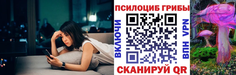 Галлюциногенные грибы Psilocybine cubensis Нальчик